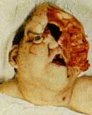 heavymetalface.jpg